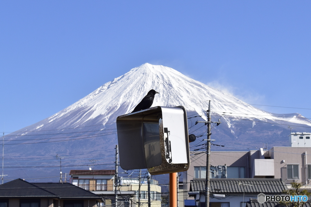 1・富士、２・鷹×→カラス○、３・,,,？