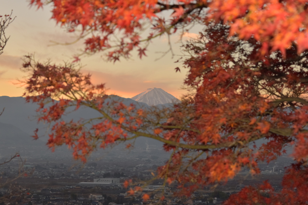 紅葉富士