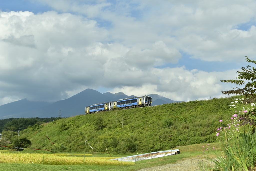 小淵沢カーブ