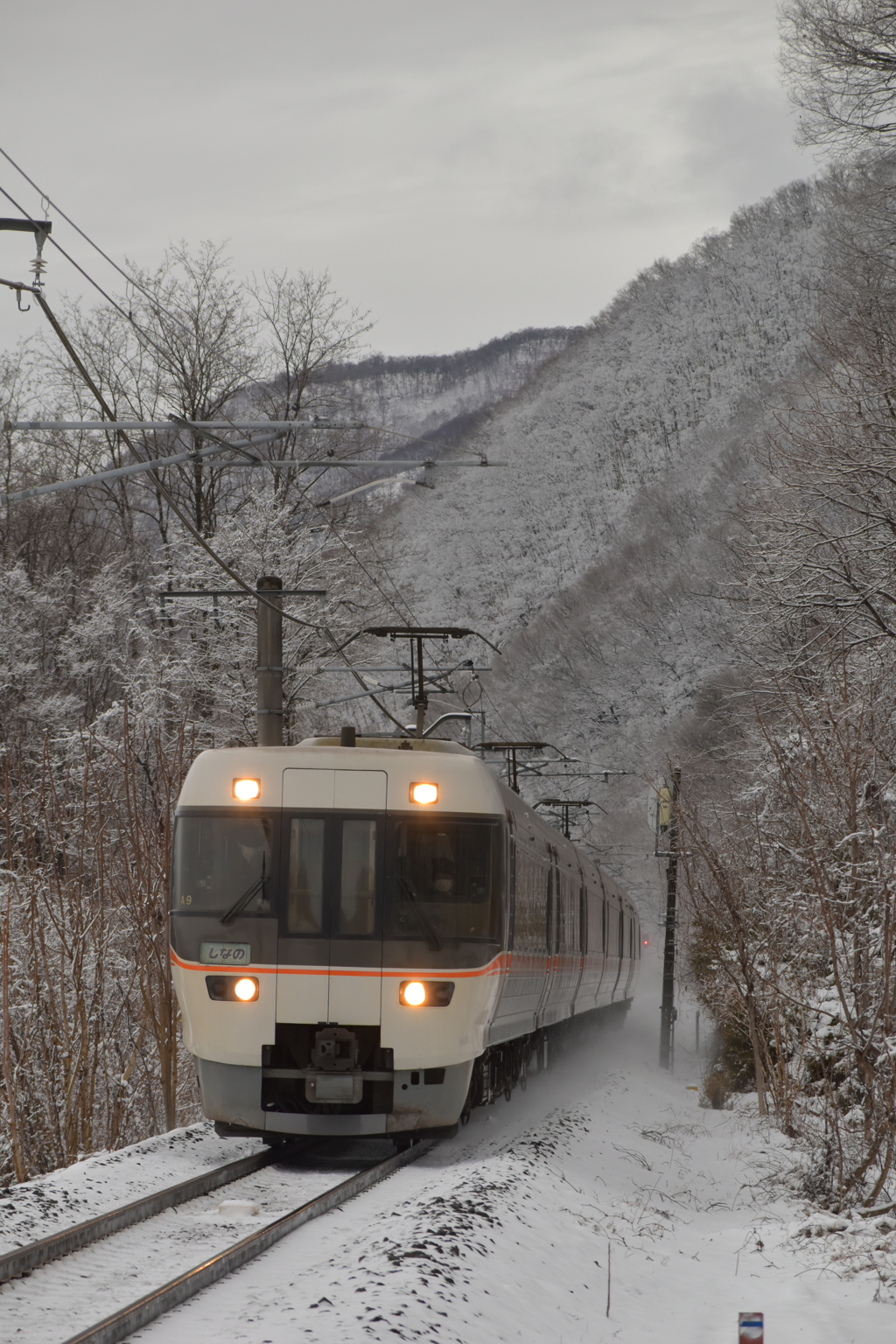 雪上りの特急列車