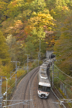 しない号が行く