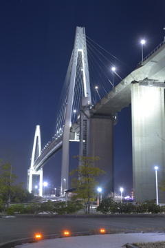 ナイトブリッジ