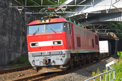 親不知トンネル群を抜けて