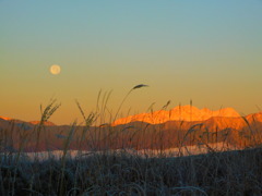 北アルプスの夜明け(高ボッチ山より)