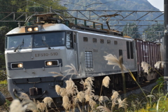 ススキと機関車