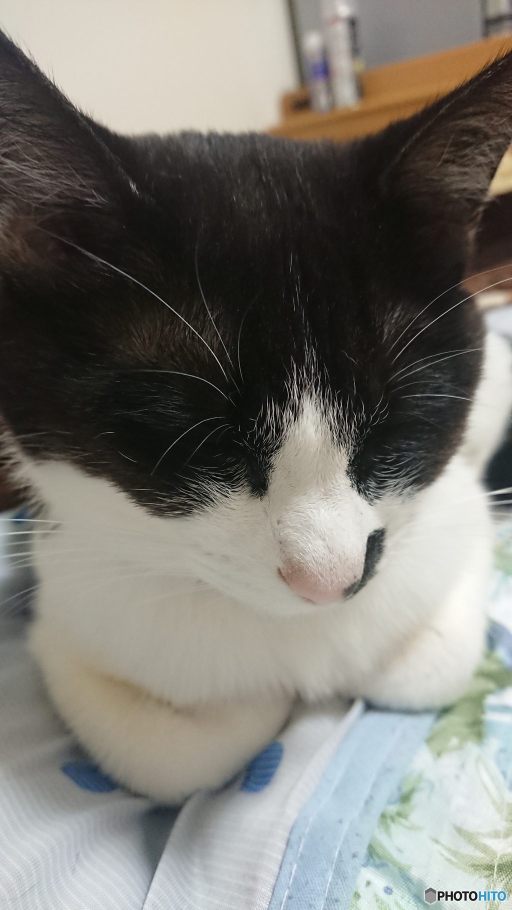 明日への導き