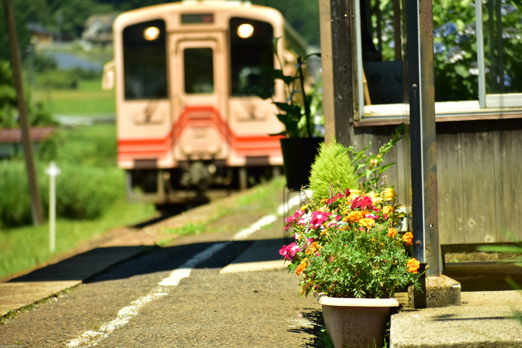 花のある駅