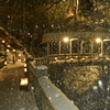 氷燈籠夜景