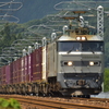 銀510