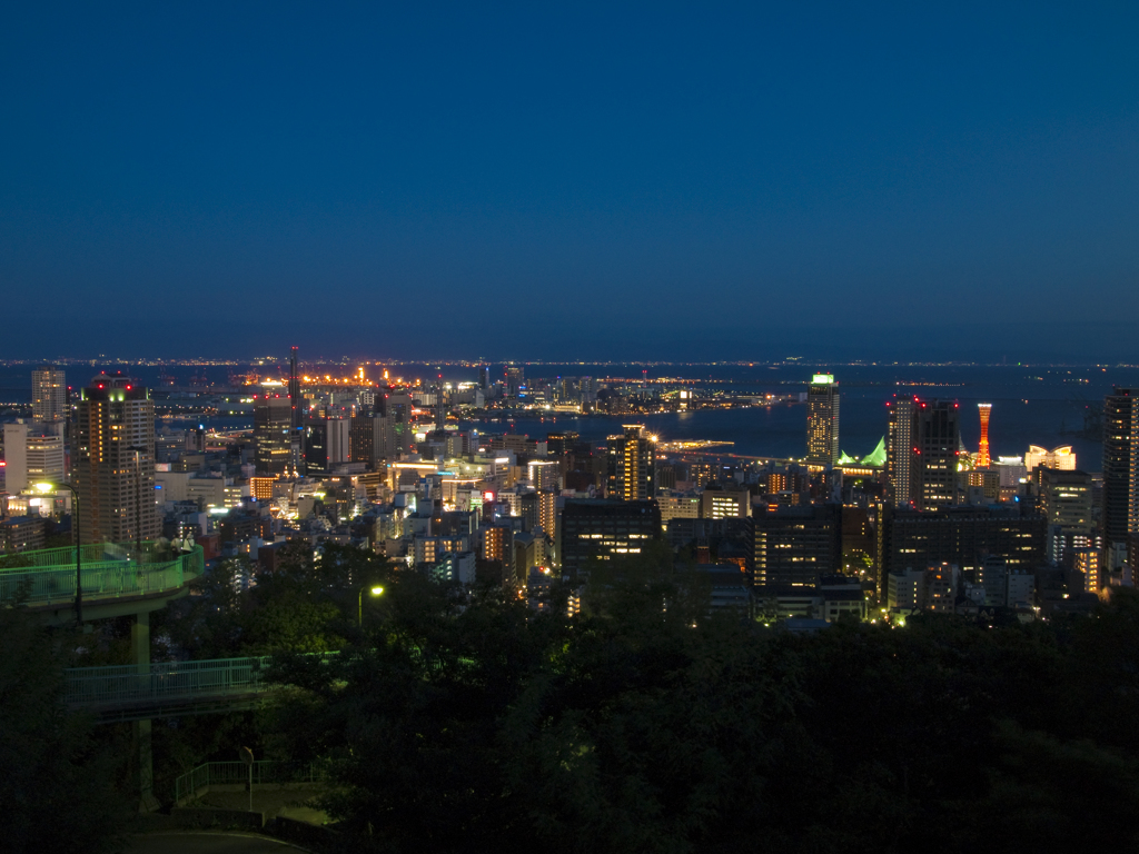 ヴィーナスブリッジ越しに見る神戸の夜景