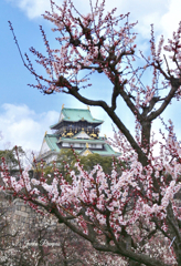 早春の大阪城