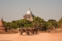 ミャンマー バガンにて