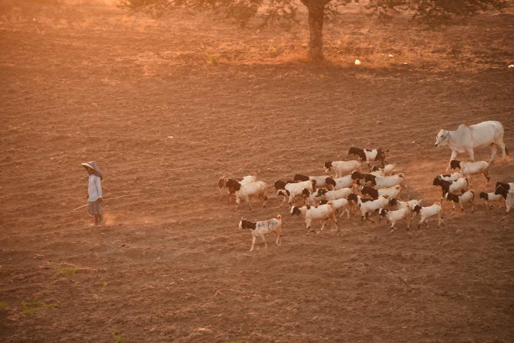 ミャンマー　バガンにて