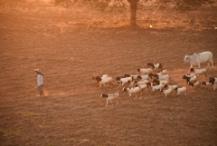 ミャンマー　バガンにて