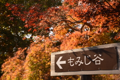 茨城県　水戸　偕楽園