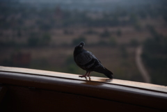 ミャンマー　バガンにて