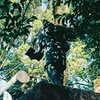 金次郎のおしり