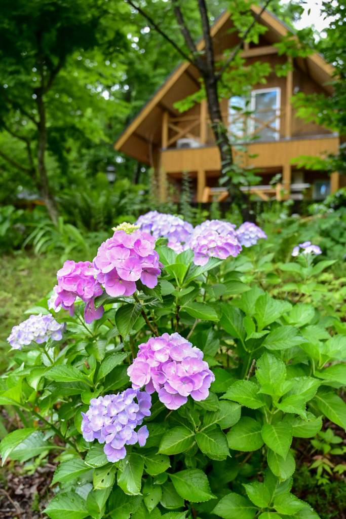 梅雨時の休暇