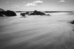 海