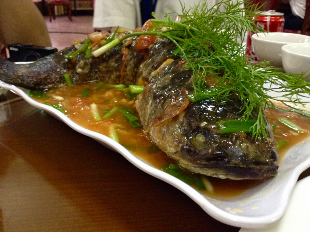 巨大川魚料理