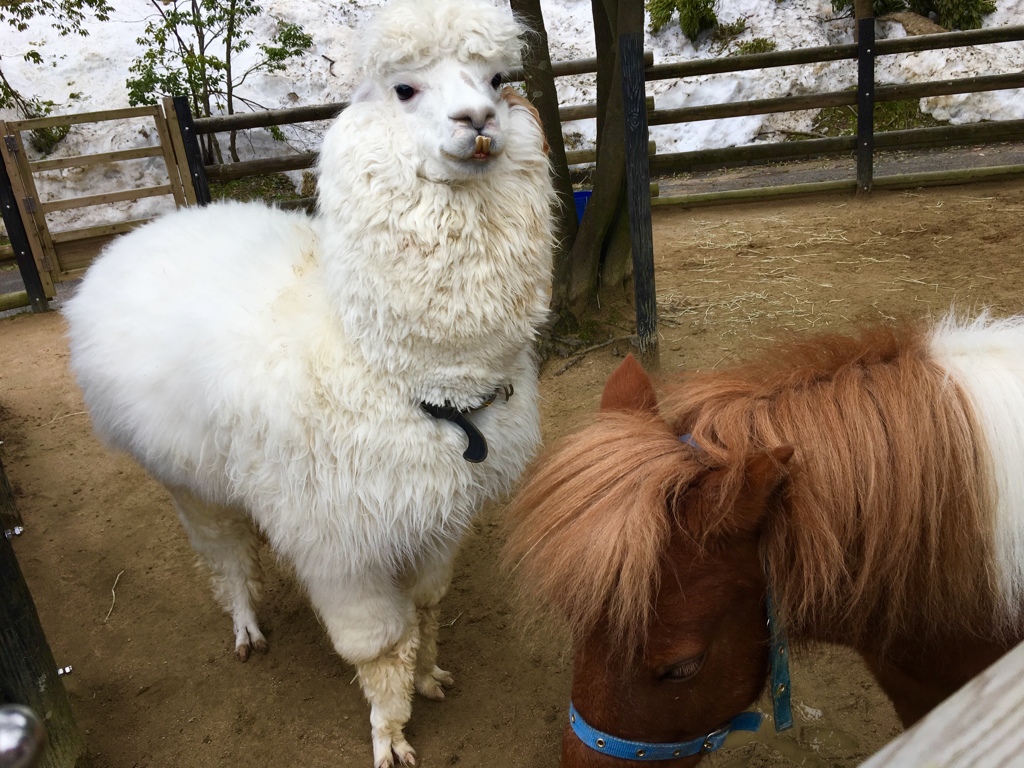 なかよぴ！