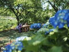 6月のじいばあ会議