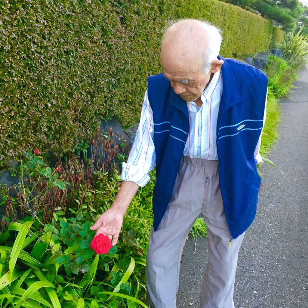 薔薇タッチおじいちゃん