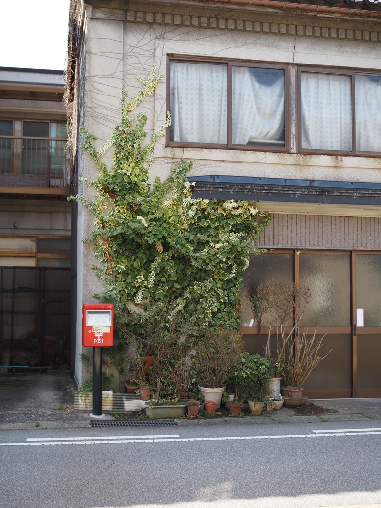 ヘデラに浸食される家