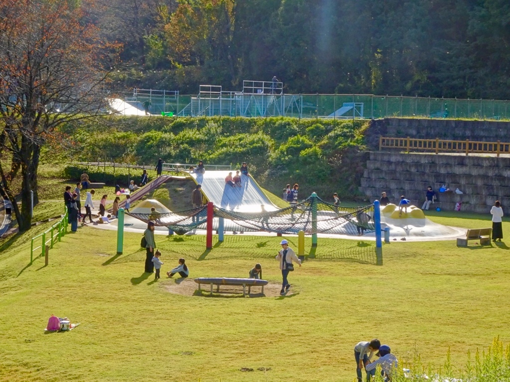 休日の公園