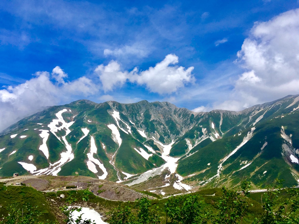 夏山