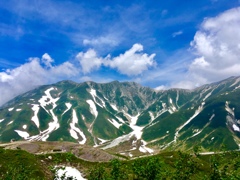 夏山