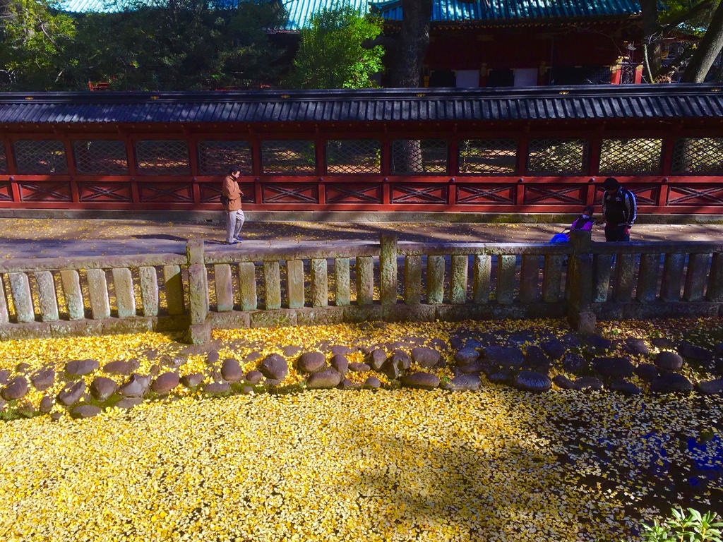 銀杏川