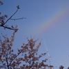 虹と飛行機雲の交差点