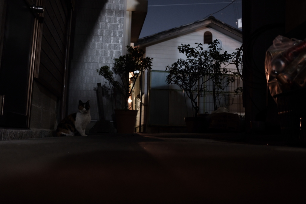 居酒屋の裏口の日常
