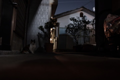居酒屋の裏口の日常