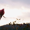 DSC00046