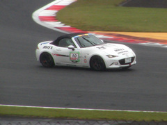 P1010066