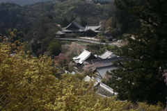 2015ABC春季、長谷寺-5