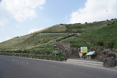 野母崎総合運動公園