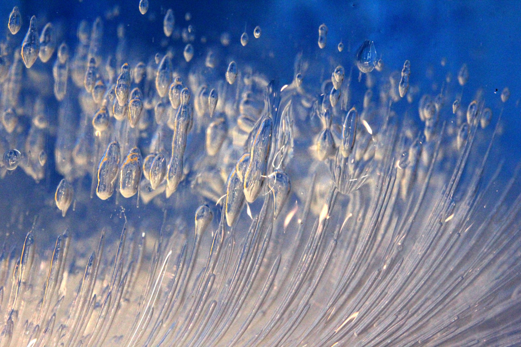 氷の世界