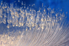 氷の世界