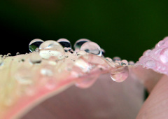 雨上がり