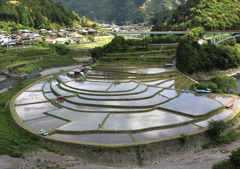 田植え前