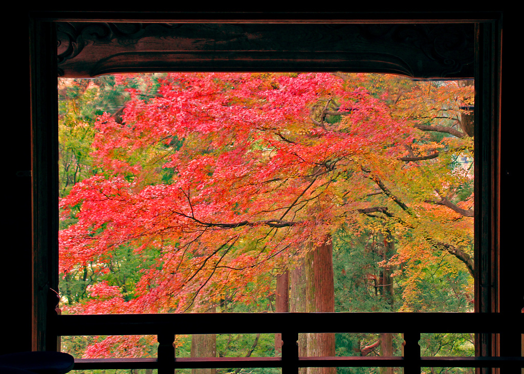 施福寺の秋