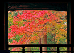 施福寺の秋