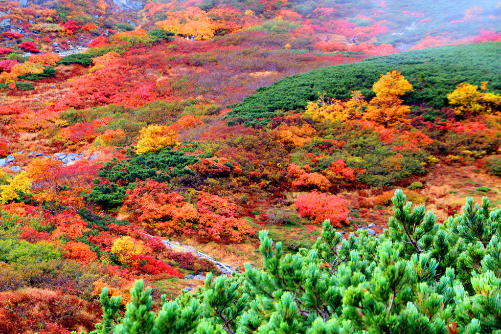 カールの紅葉