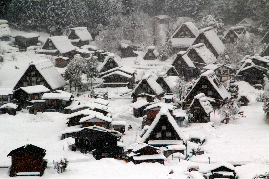 モノクロの世界