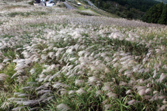 秋風