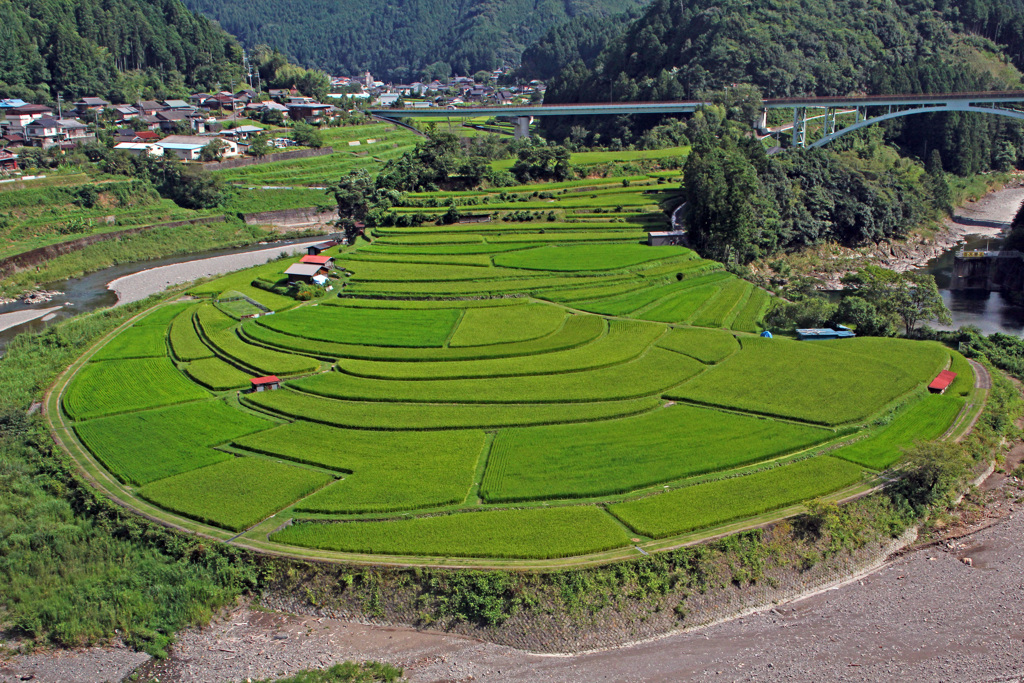 緑田