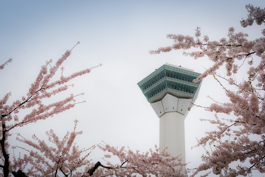 2019 五稜郭公園より(1)